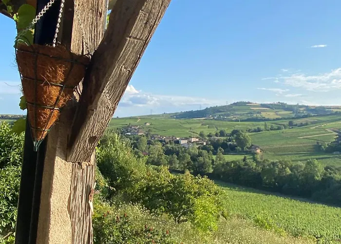Cottage En Vignoble