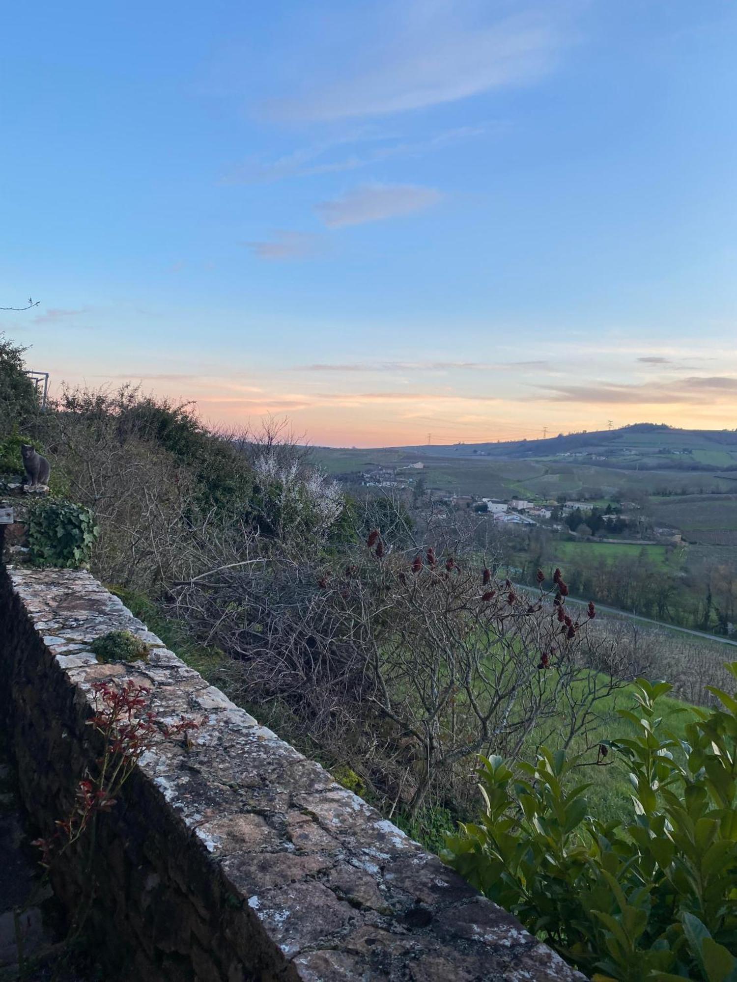 En Vignoble Ferienhaus