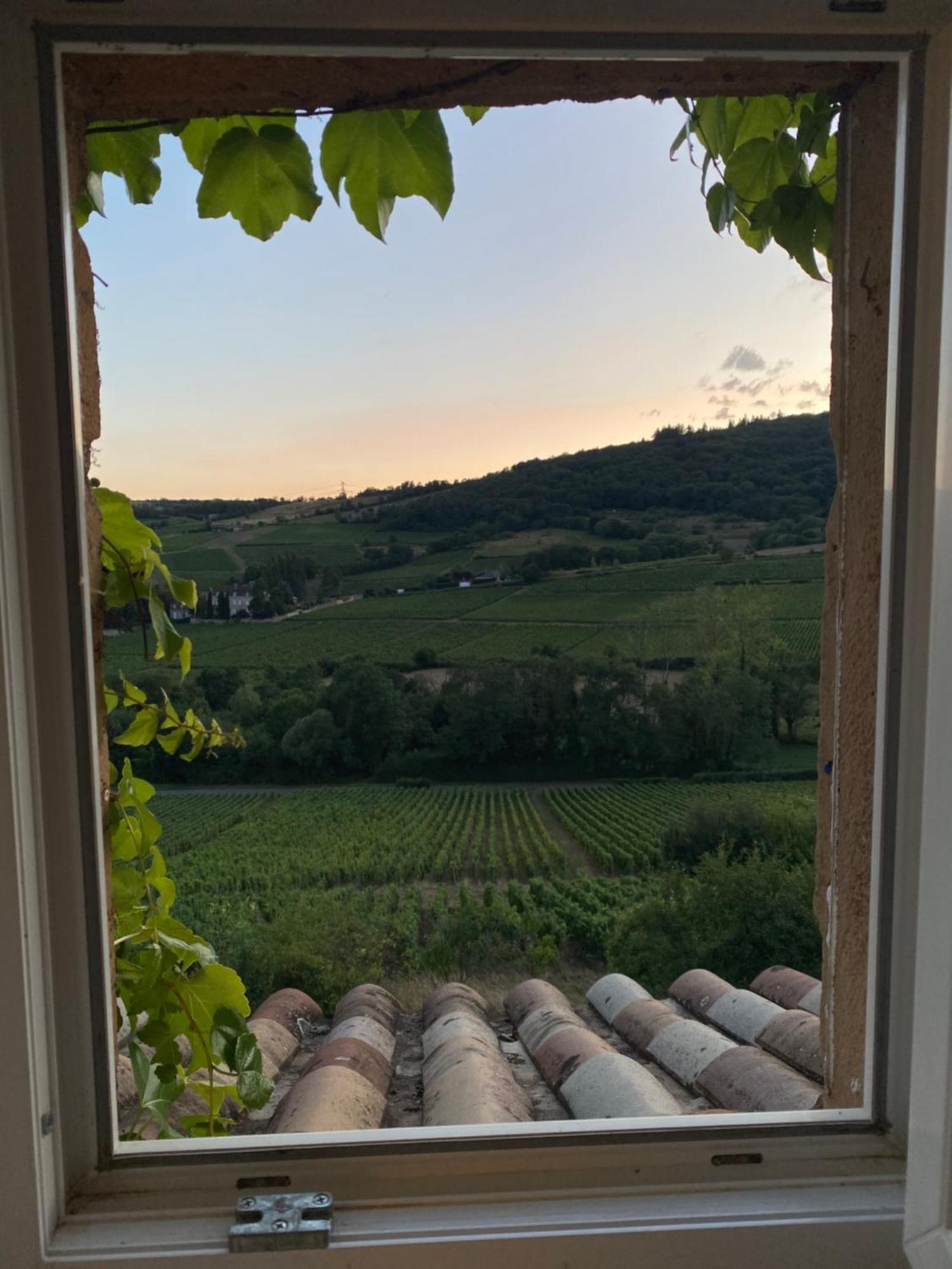 En Vignoble *