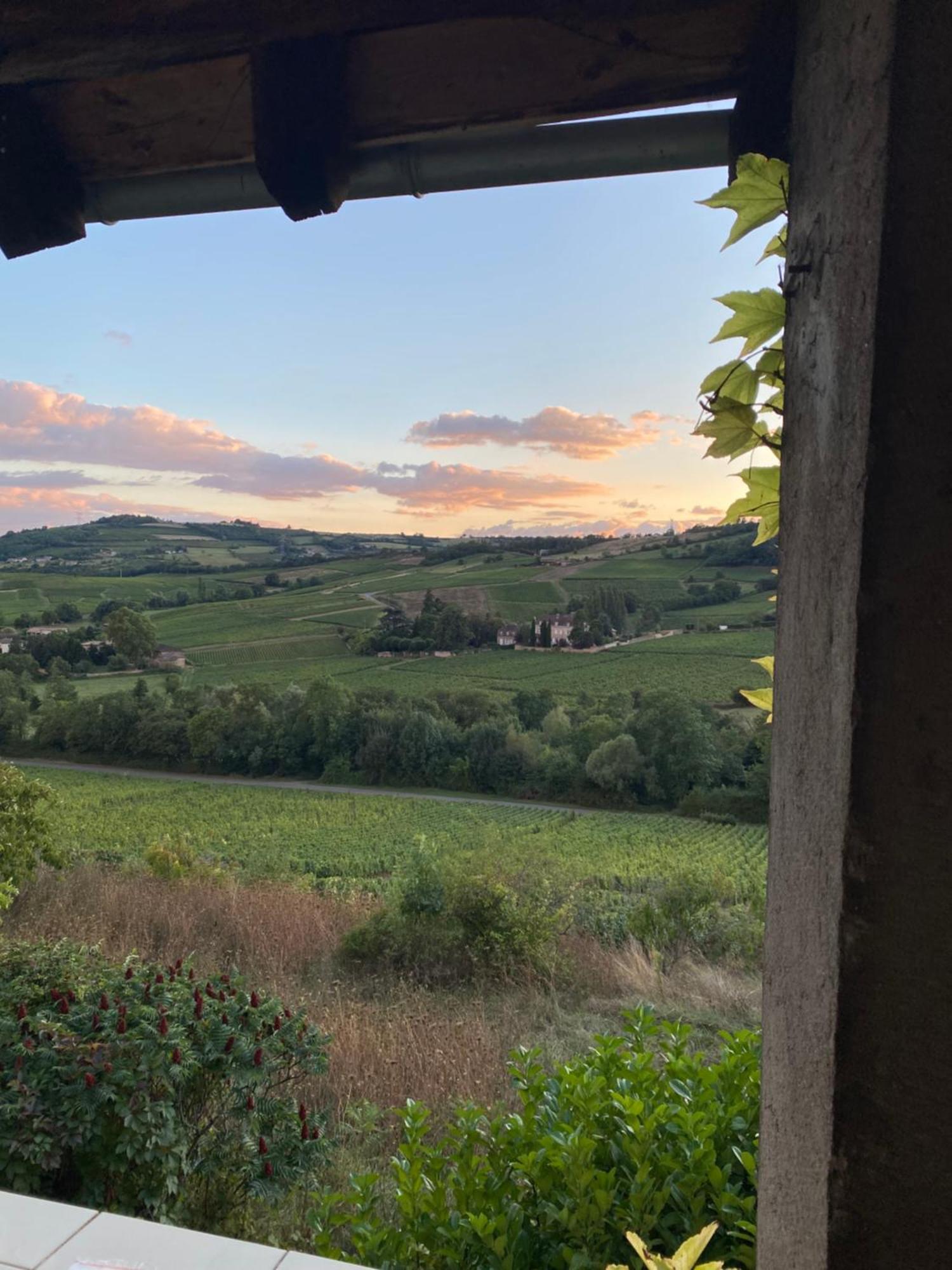 Ferienhaus En Vignoble Leynes