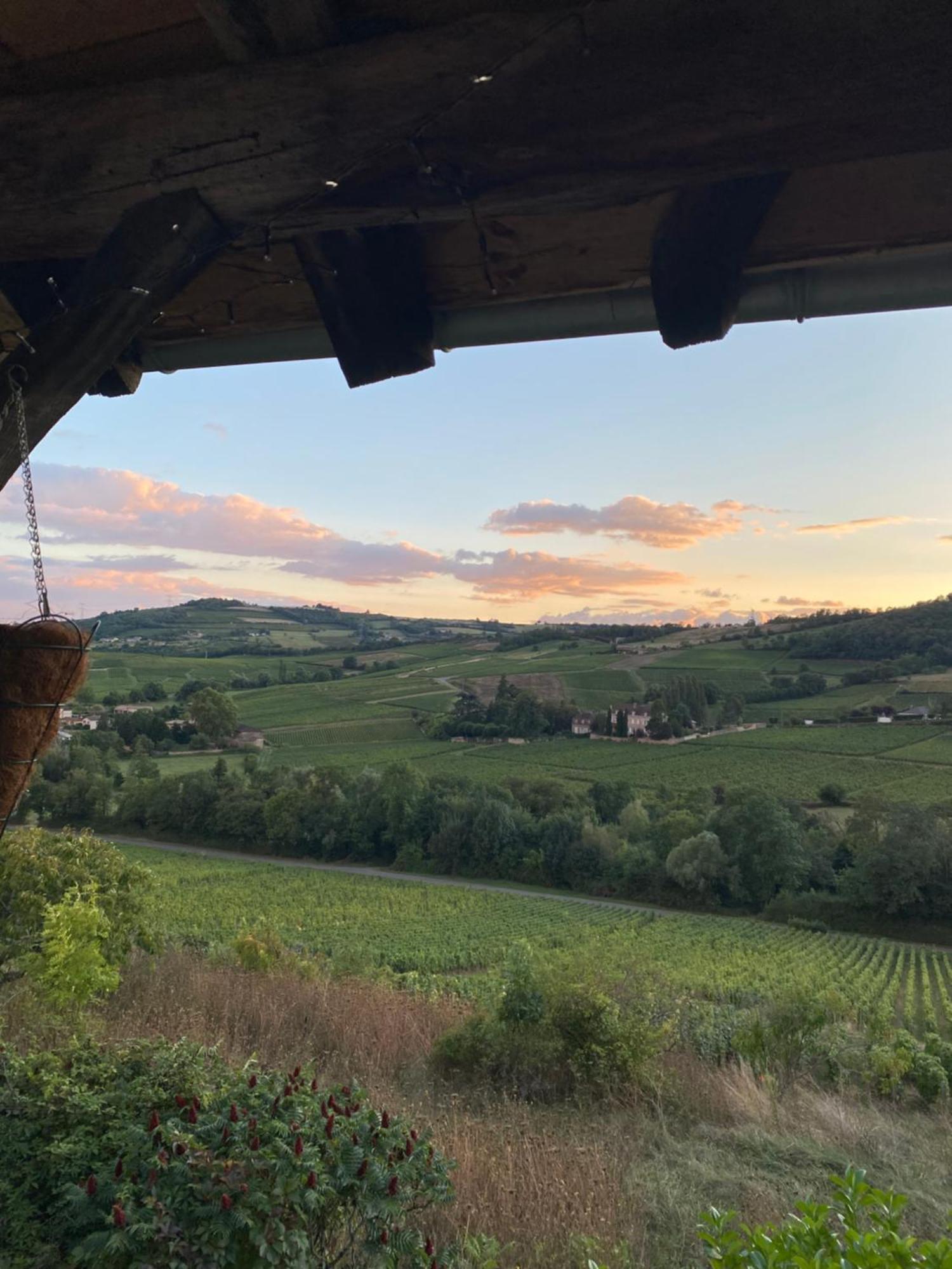 En Vignoble *