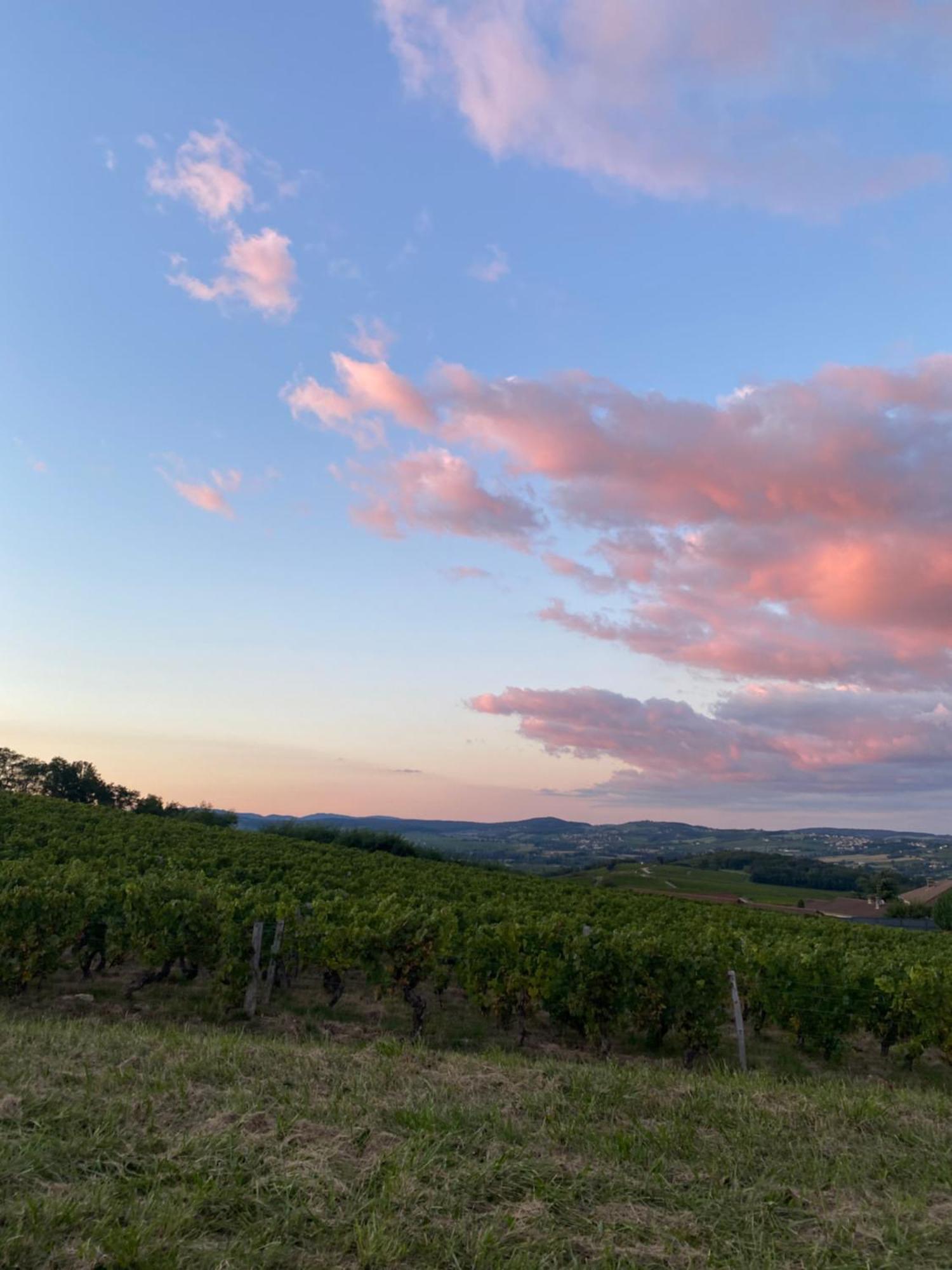 En Vignoble Ferienhaus