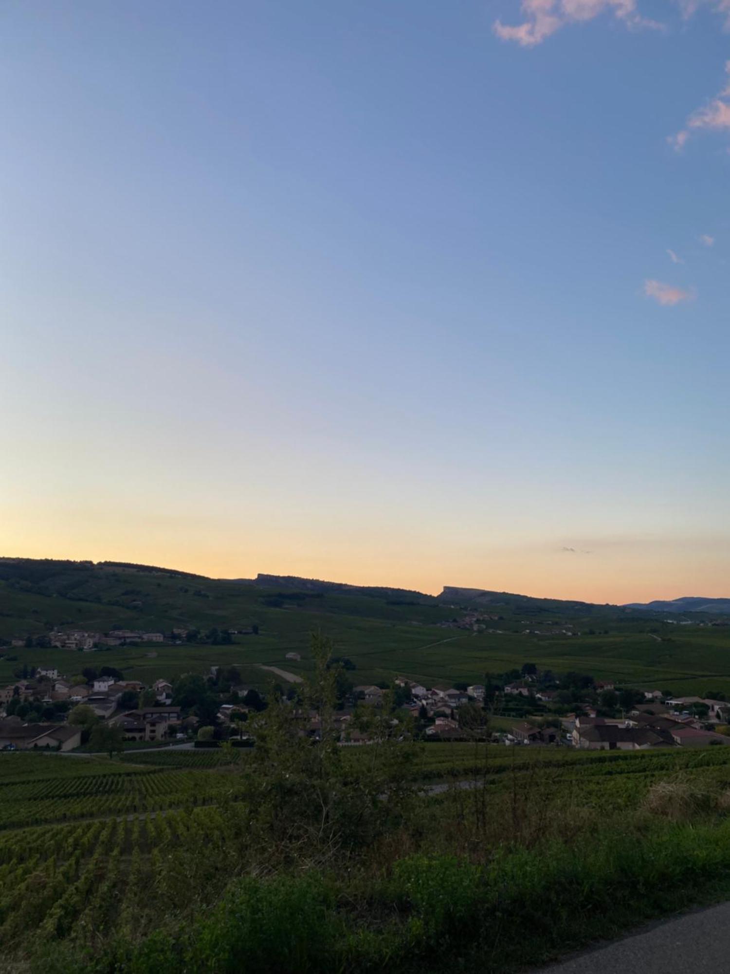 Ferienhaus En Vignoble Leynes